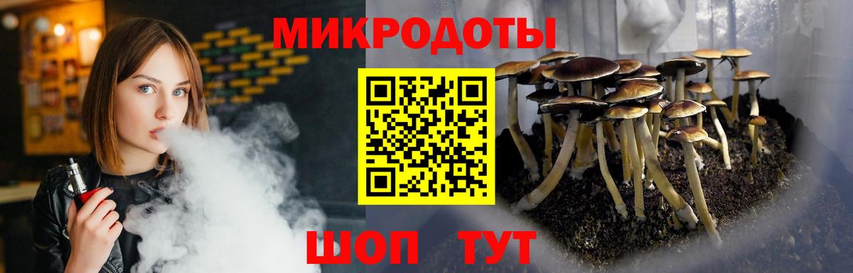 Симферополь  Галлюциногенные грибы прущие грибы  Вход с VPN 